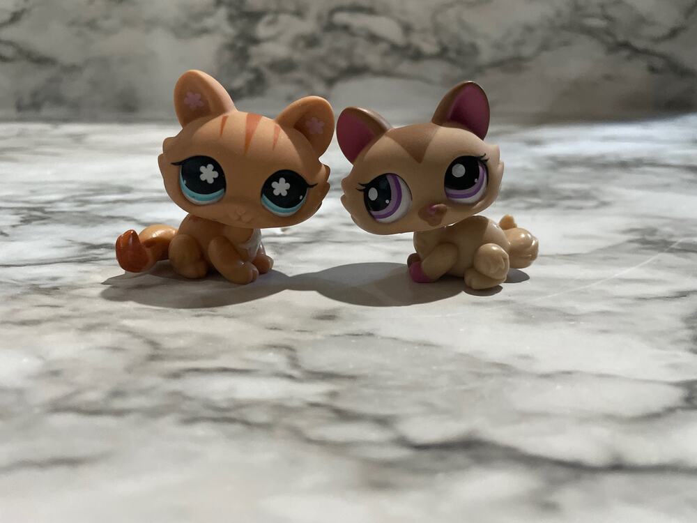 Littlest pet shop cats!